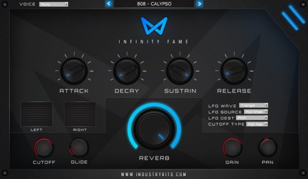 INFINITY FAME VST GUI